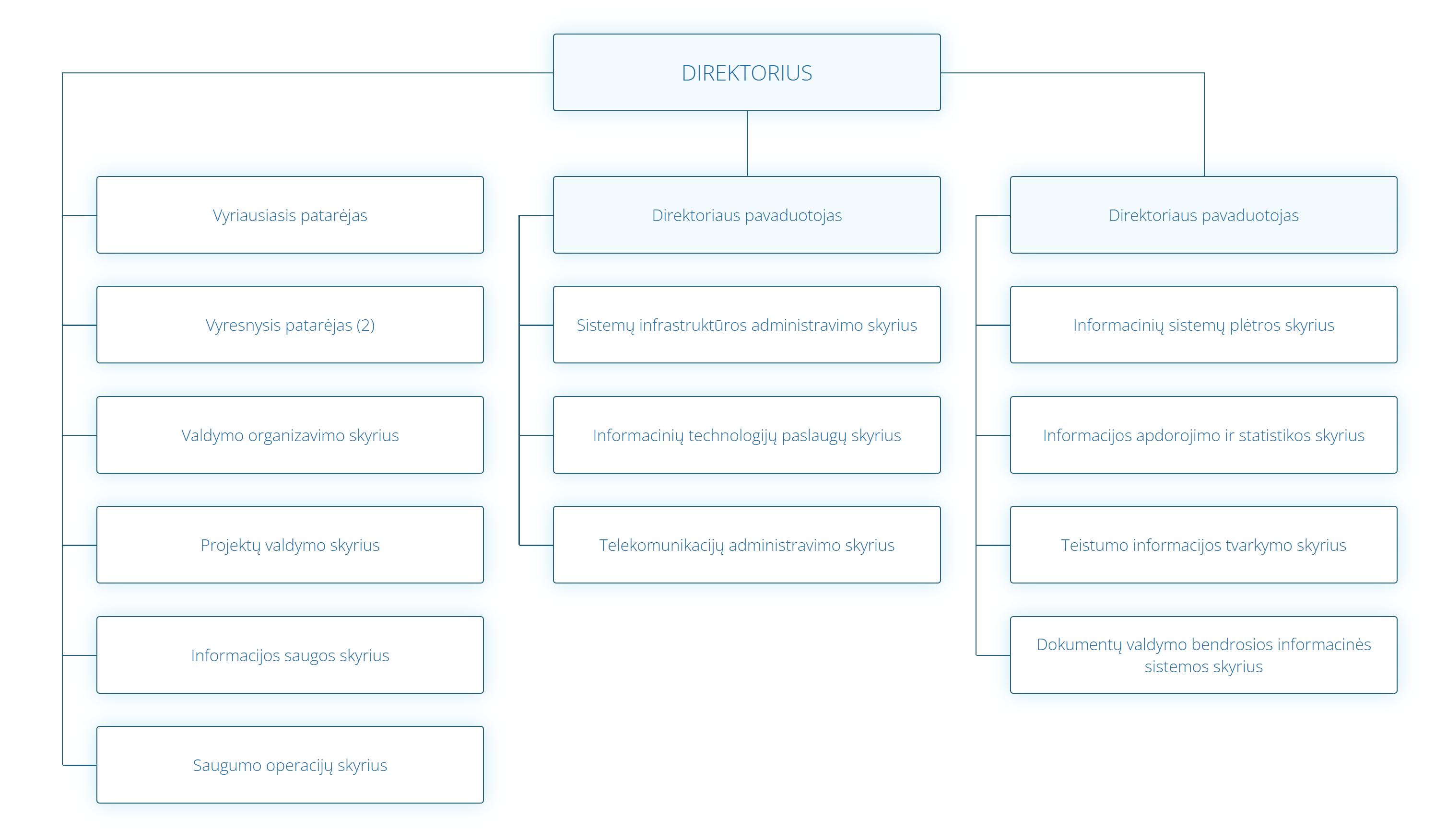 VALDYMO_SCHEMA_2026_01_LT.png